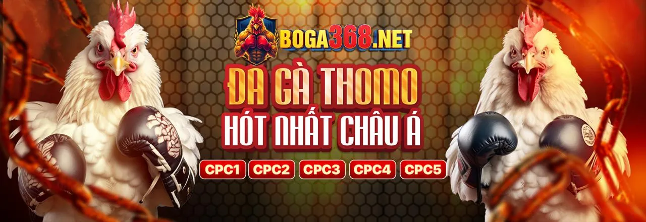 Cá cược thể thao đỉnh cao tại win58 chính thức