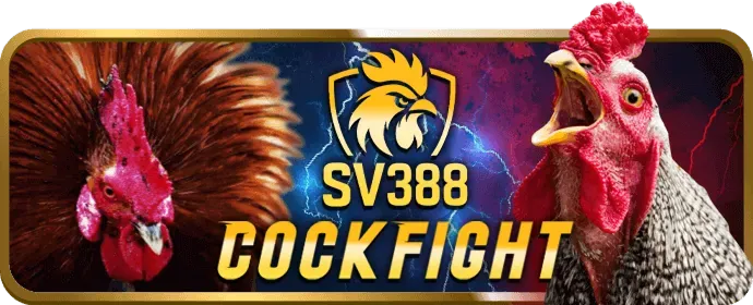 Sự Đa Dạng và Phong Phú tại win58 chính thức