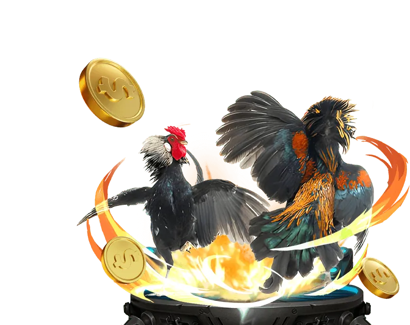 Cá cược quần vợt tại win58 chính thức